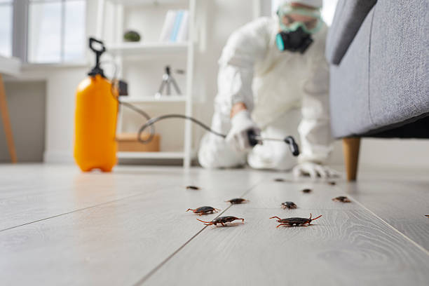 Commercial Kitchen Cockroach Control in Howey-in-the-Hills